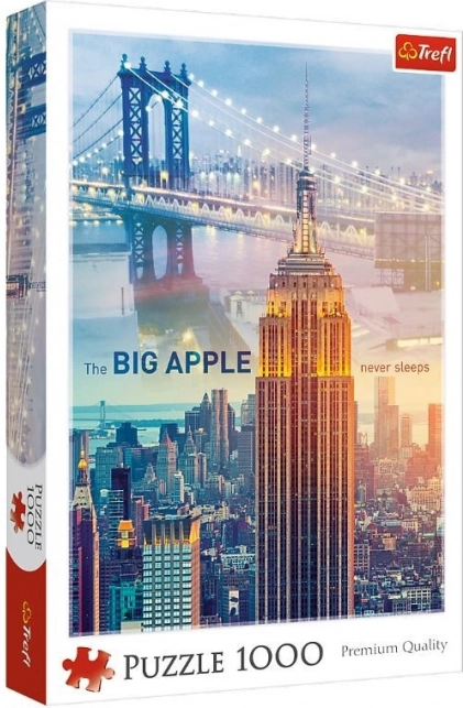 Puslespil 1000 brikker New York ved daggry