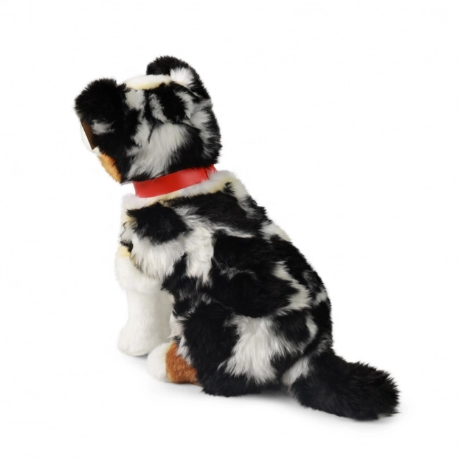 Plys hund australsk hyrdehund 30 cm MILJØVENLIG