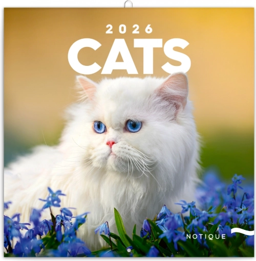 Noteskalender Katte 2026