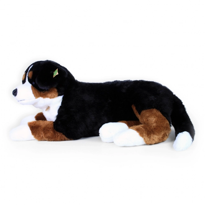 Stor plysbamse af Bernese bjerghund liggende 89 cm ØKO-VENLIG