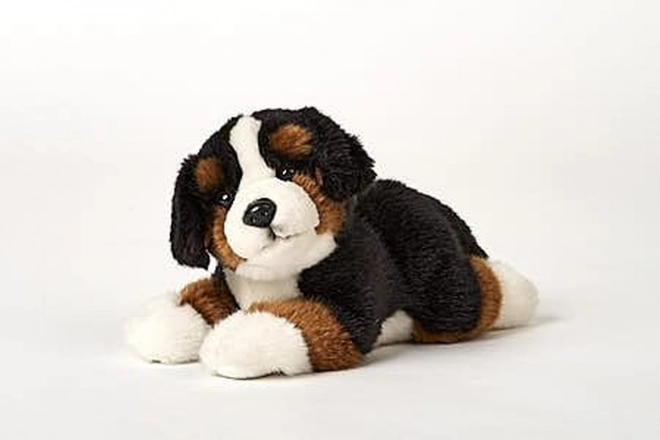 Plys Berner sennenhund 25 cm