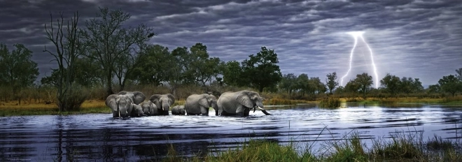 panoramapuslespil Elefantflok Botswana 2000 brikker