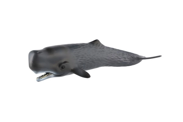 Realistisk model af Kaskelothval 24 cm