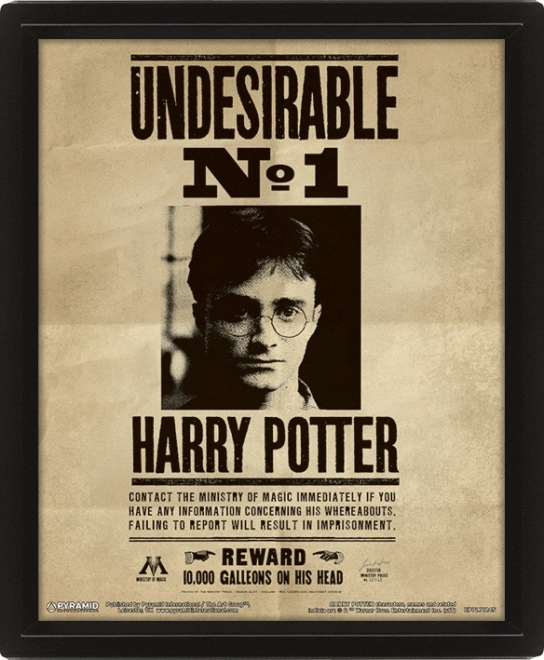 3D billede Harry Potter - Sirius