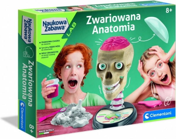 Skør anatomi læringssæt