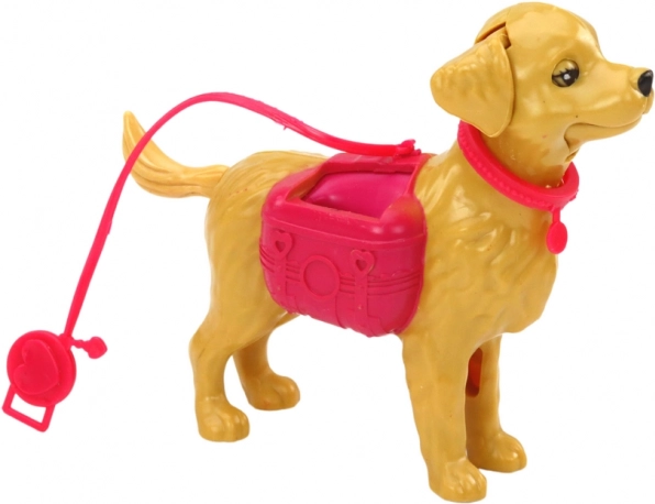Hund i snor til gåtur-lege