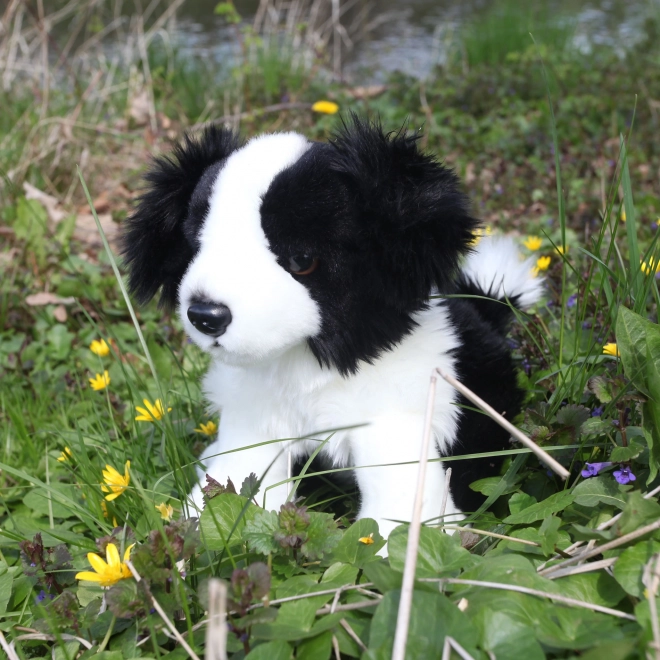 Plysbamse Border Collie 30 cm fra Rappa - Miljøvenlig