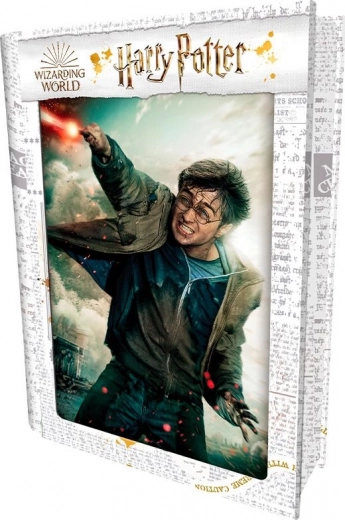 3D-puslespil HARRY POTTER – Harry, 300 brikker