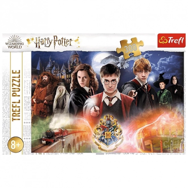 Mystisk Harry Potter puslespil 300 brikker
