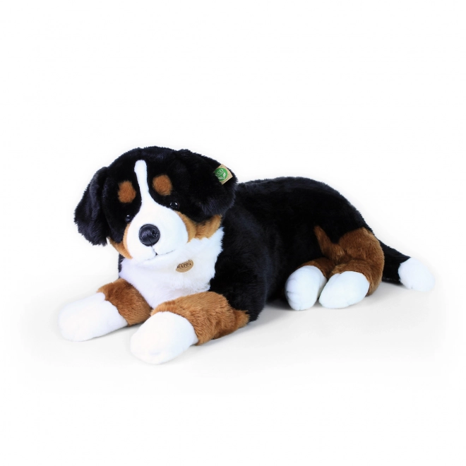 Stor plysbamse af Bernese bjerghund liggende 89 cm ØKO-VENLIG