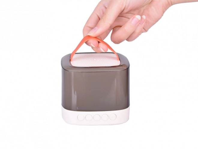 Mikrofon med trådløs højttaler og Bluetooth