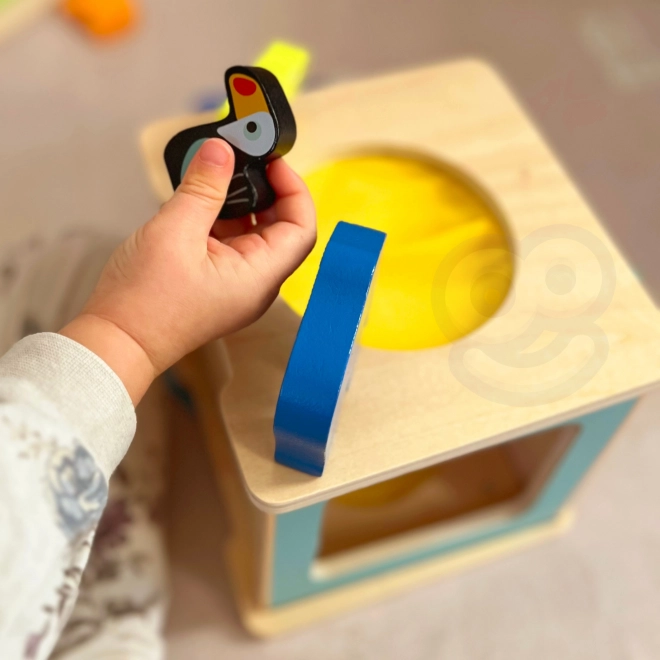 Uddannelsesmæssig Montessori-boks til børn i alderen 31-36 måneder