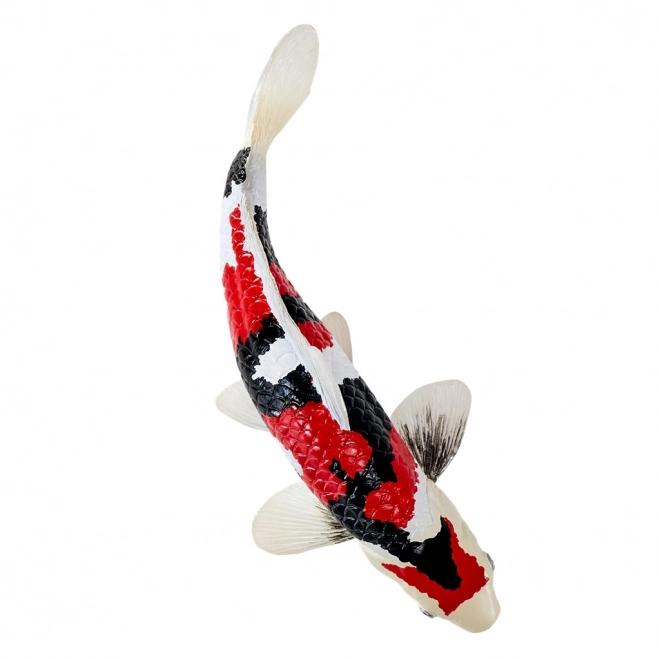 Mojo karpe koi showa sanshoku
