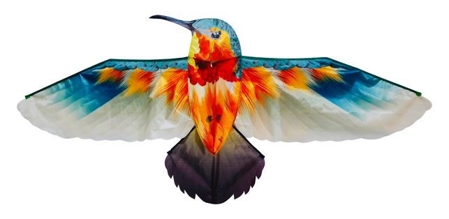 Drage Kolibri