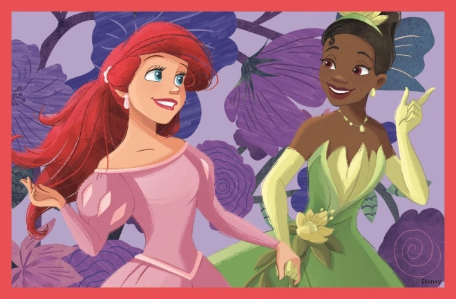 CLEMENTONI Billedklodser Disney Prinsesser, 6 klodser
