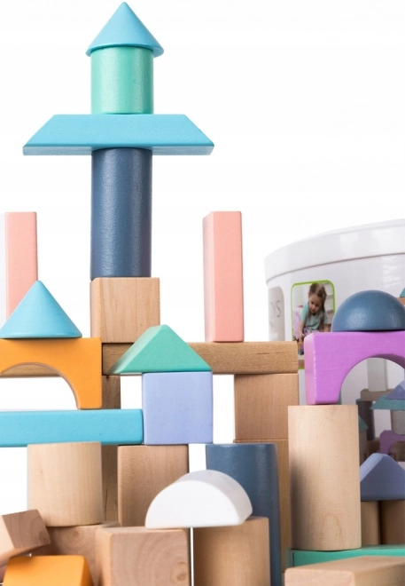 Træklodser 100 stk i spand med sorter Ecotoys