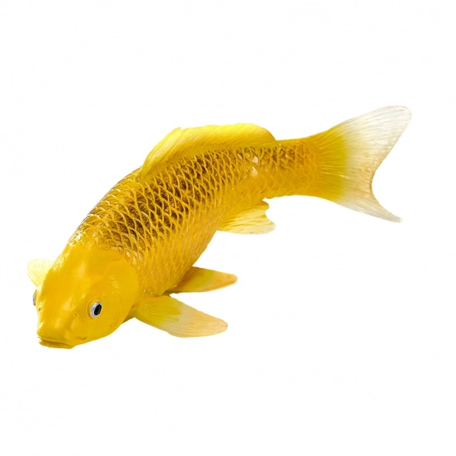 Mojo karpe koi Matsuba