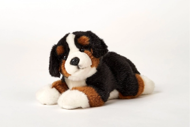 Plys Berner sennenhund 25 cm