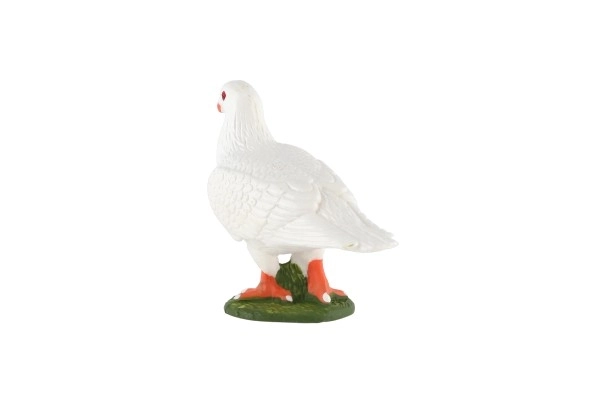 Domestic due 6cm i pose