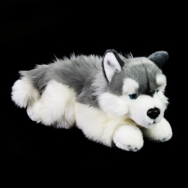 Rappa Plysbamse hund husky liggende 30 cm