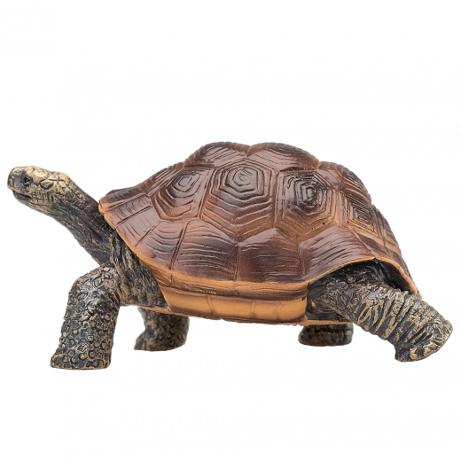 Holdbar og ugiftig plast