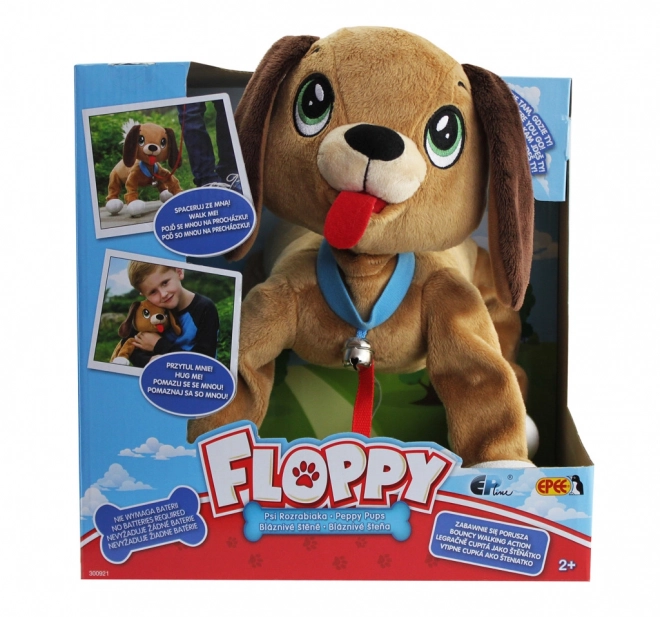 Hunden Floppy