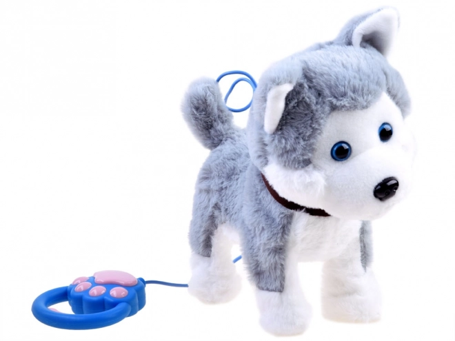 Interaktiv Huskyhund på snor