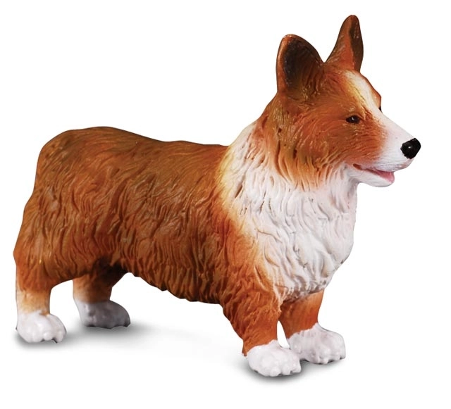 Welsh Corgi CollectA figurine