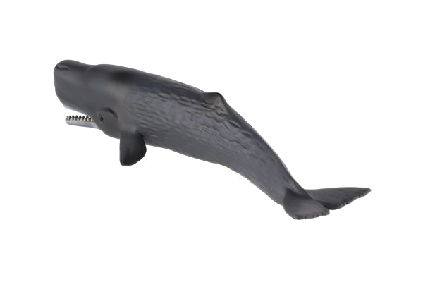 Realistisk model af Kaskelothval 24 cm
