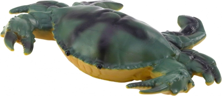 Realistiske farver og forskellige typer havdyr