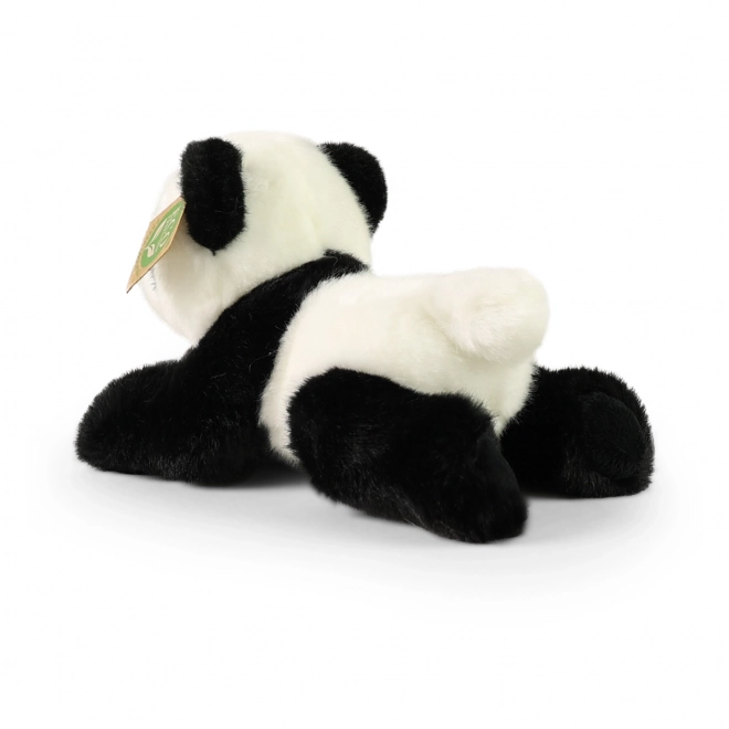 Plys Panda ECO-Friendly