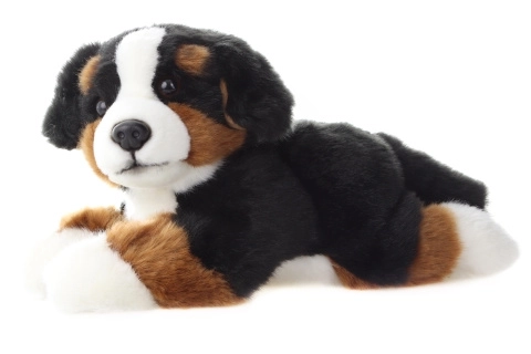 Plys Berner sennenhund 25 cm
