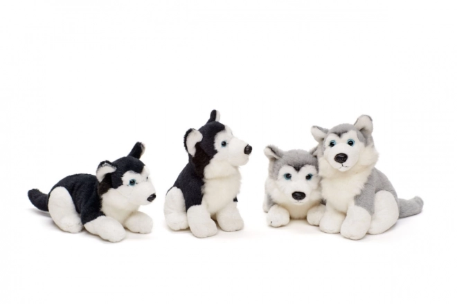 Plys husky 15 cm