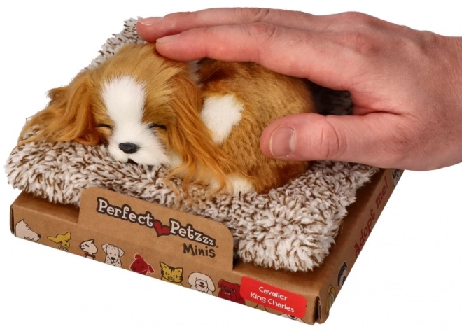 Sovende hvalp Cavalier King Charles Perfect Petzzz