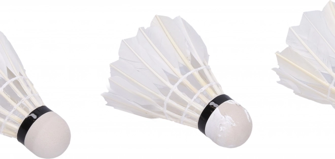 Hvide badmintonkurve