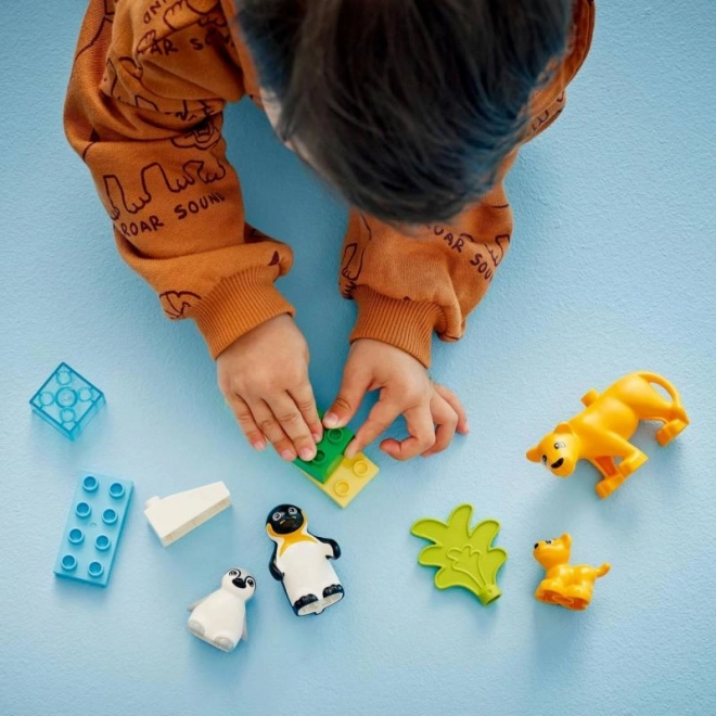 Lego Duplo Vilde dyrs familier: Pingviner og løver