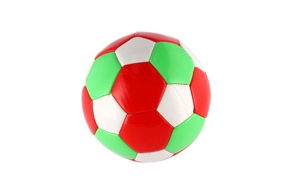 Lille junior fodbold bold oppustet syet 15 cm læder i net