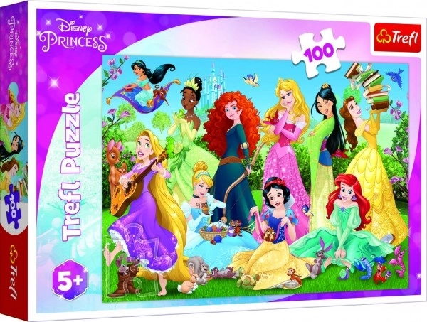 Puslespil Charmerende prinsesser/Disney 100 stykker 41x27,5 cm i kassen 29x19x4 cm
