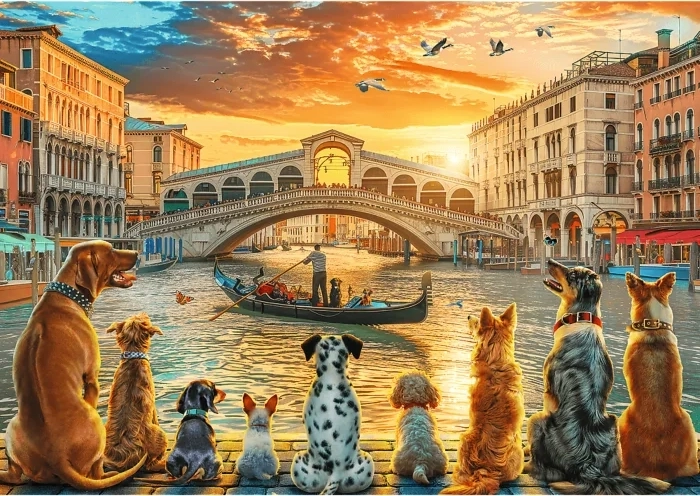 Trefl puslespil Hunde i Venedig 1000 brikker