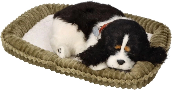 Adoptér mig Åndende plyshund Cocker Spaniel