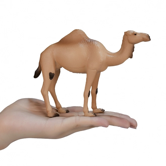 Mojo Animal Planet Én-puklet Kamel