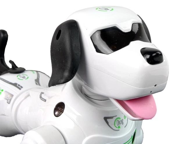 Interaktiv fjernstyret robot-hund