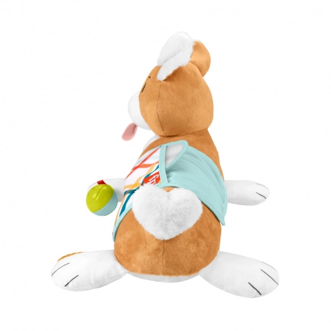 Mavepude til spædbørn Fisher-Price
