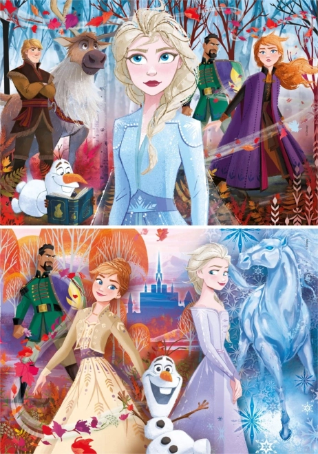 Puzzle 2x20 Super Color Frost 2