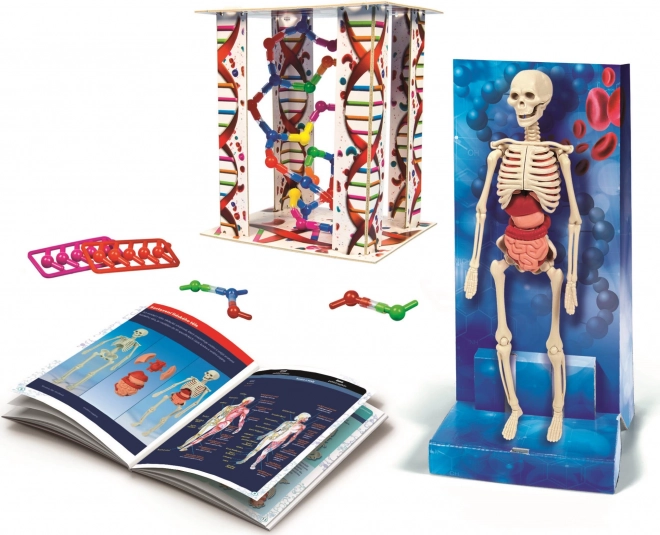 CLEMENTONI Science&Play: Menneskekroppen 2023