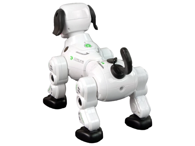 Interaktiv fjernstyret robot-hund