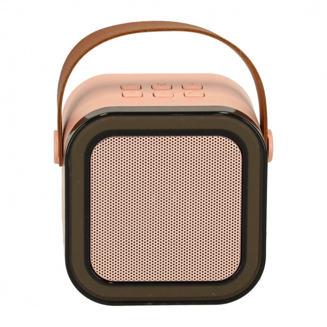 Karaoke sæt 2 mikrofoner + bærbar højttaler BLUETOOTH USB LED pink