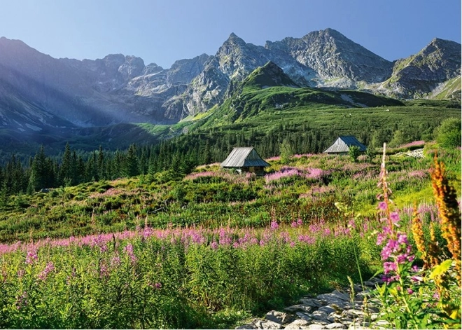 Puzzle CHERRY PAZZI Høje Tatra – Housenková-dalen, 1000 brikker
