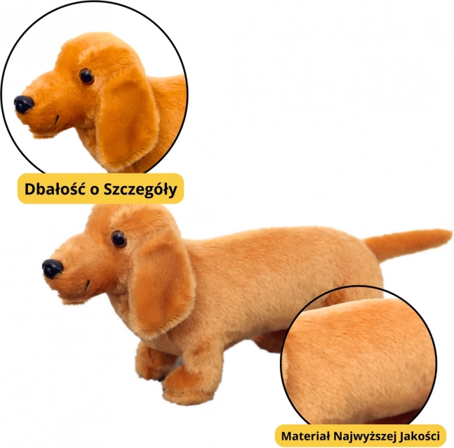 Plys legetøj Hund Gravhund Lysebrun 25 cm