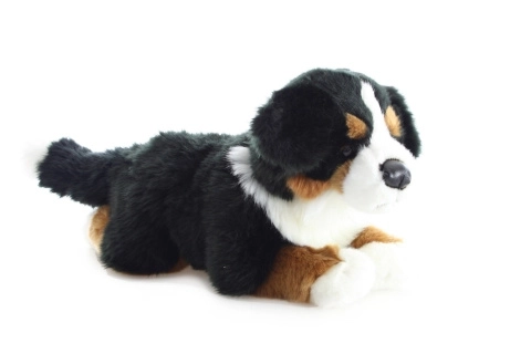Blød Berner Sennenhund 40 cm